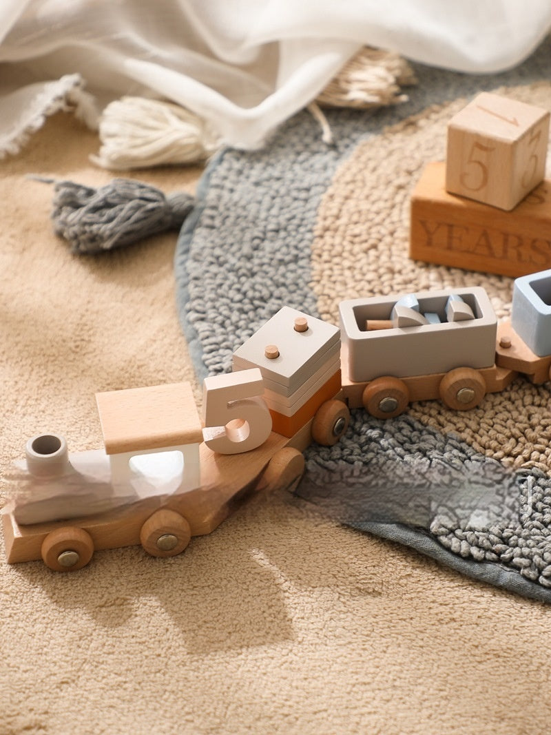Birthday Gift for Boys and Girls - Wooden Train Toy with Colorful Blocks