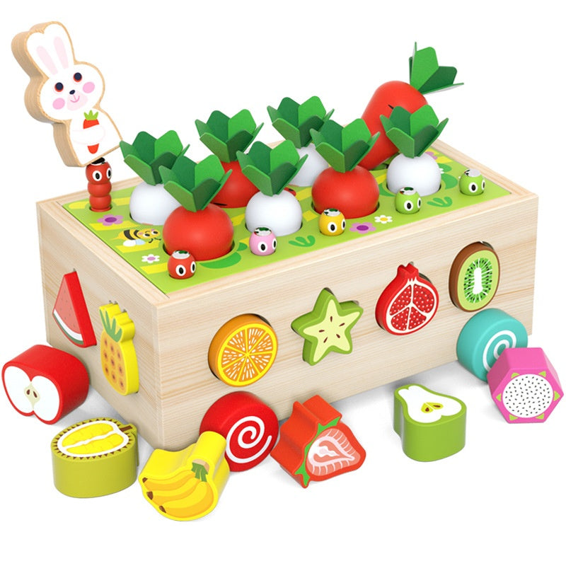 Wooden Shape Sorter Toy for Toddlers - Educational Toy