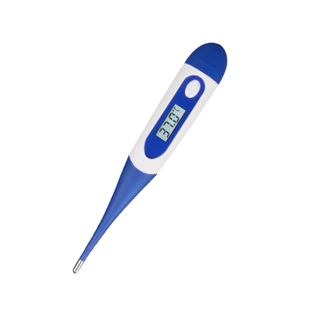 Digital Electronic Waterproof Thermometer - MAMTASTIC