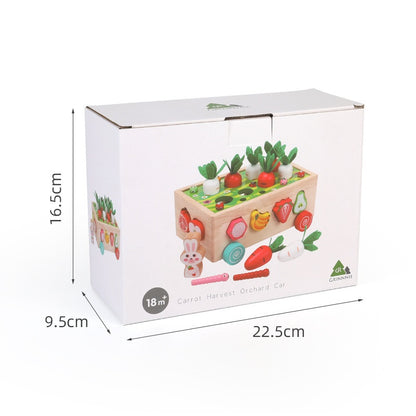 Wooden Shape Sorter Toy For Toddlers - Farm Orchard English - CJYZ231300913MN